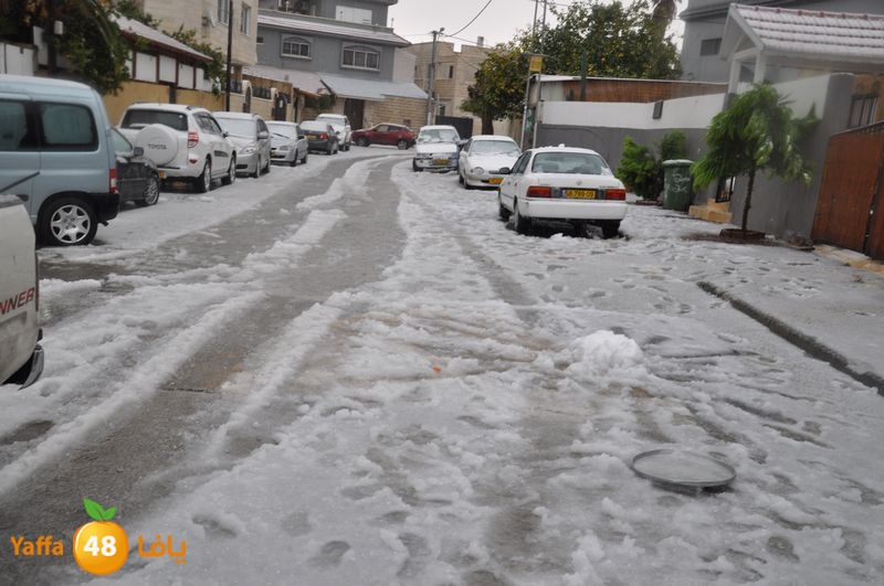 iceman lud 1213 (37).JPG